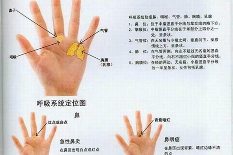 如何看手相算命图解 男人