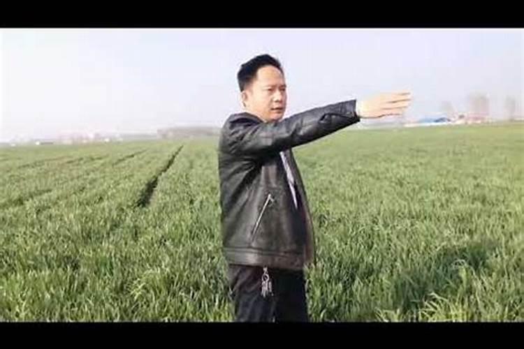 江汉平原地区 墓地一般选在什么地方对风水好