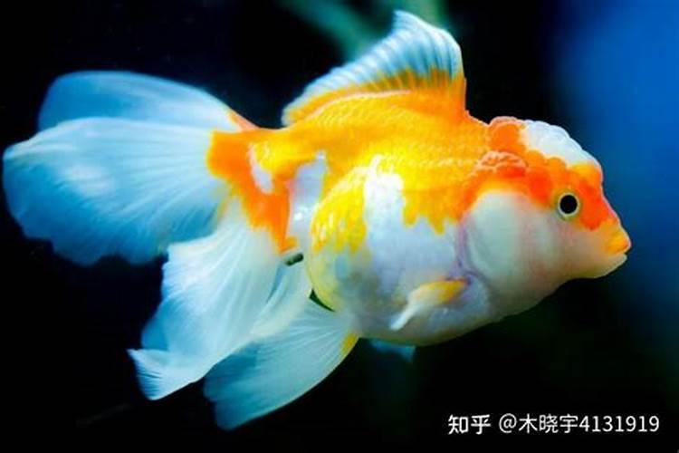 漯河40天的天气预报怎样
