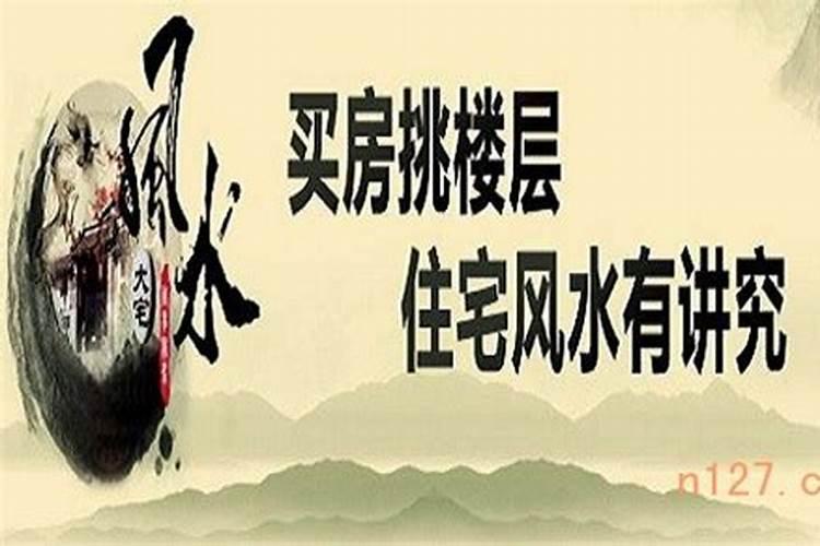 风水师董易林被抓是哪一集