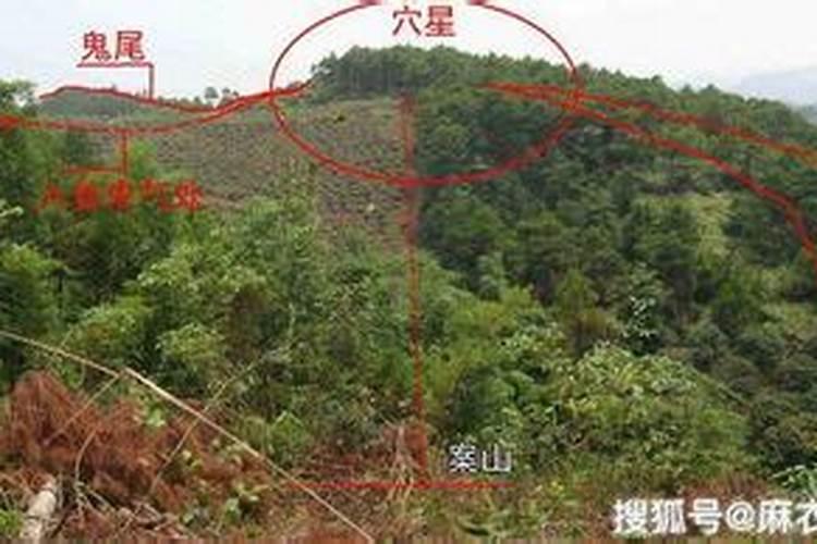 家堂下午挂可以吗