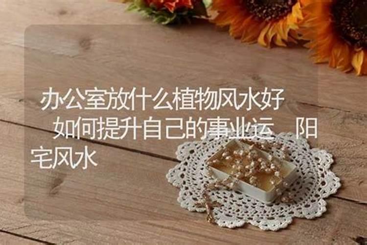买了异形房怎么办？教你这4招绝不浪费1㎡