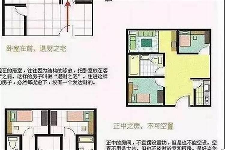 招财树种什么最旺财运最好