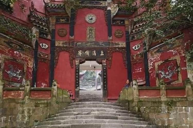 网友说镜子里的猫是另一种生物,大家这么说的原因是什么？