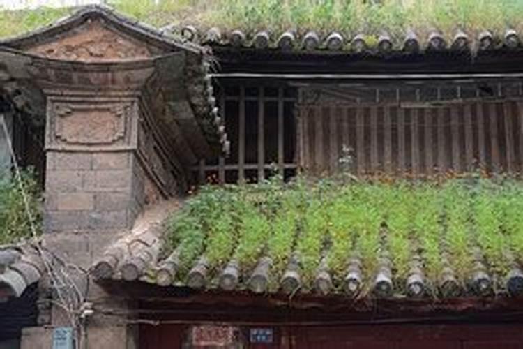 査屋顶风水……屋顶上长草好不好