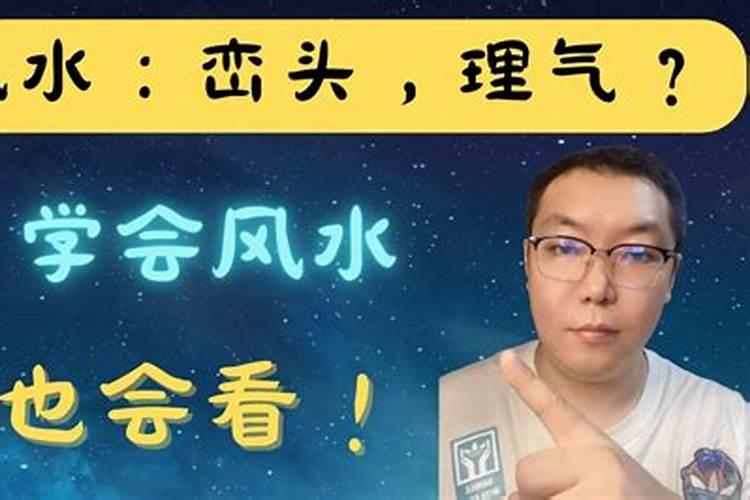 门头养什么花最好