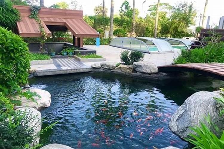 门前可建鱼池吗？对住宅风水有影响