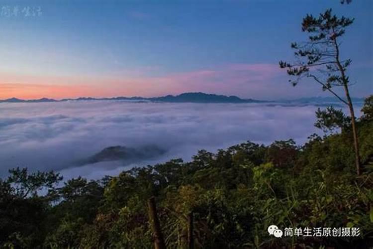 五月天阿信的资料