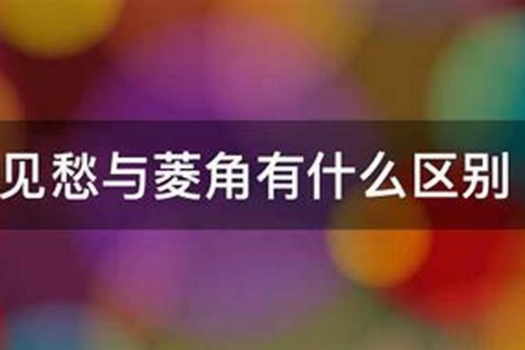 柳树辟邪