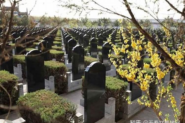 墓地风水真的可以布局吗了子孙后代跟着享福
