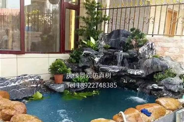 鱼池配什么风水最旺