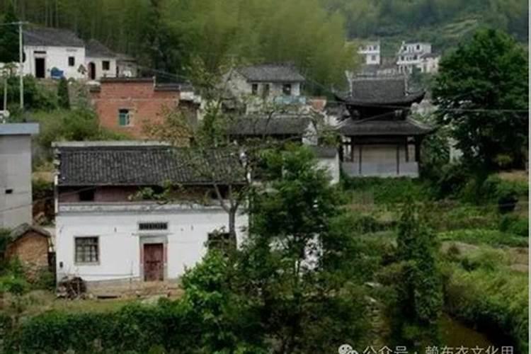 适合种在建筑北边的草本花卉