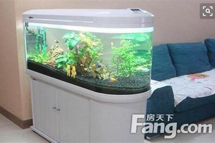 办公室鱼缸风水禁忌 鱼缸的摆放禁忌