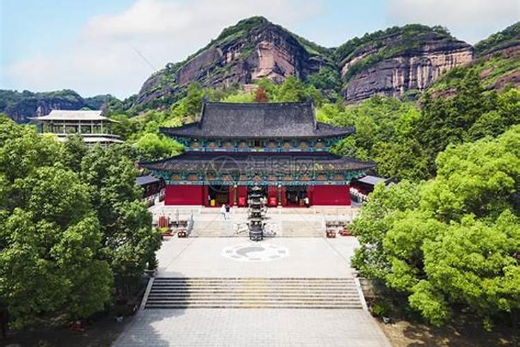 在家里养花,花的摆放风水方位