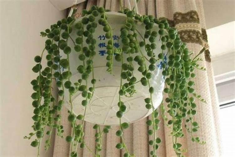 常见的招财神兽都有哪些