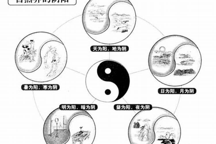 大榕树的所有资料