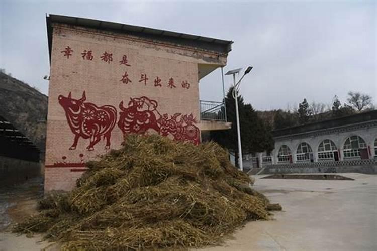 重庆蚩尤九黎城景点游玩推荐