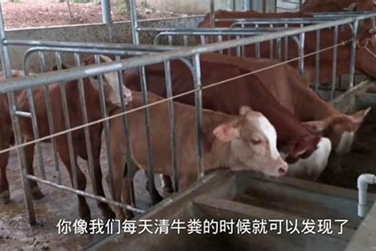 安徽旅游必去十大景点 :这些古村落,是否有你的家乡？