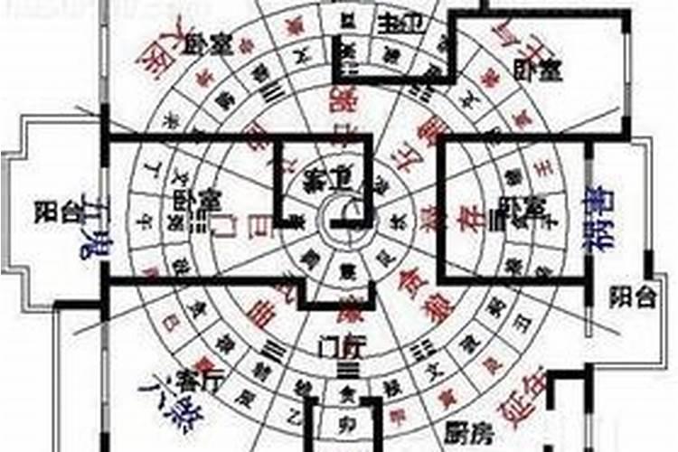 水缸放什么位置最旺