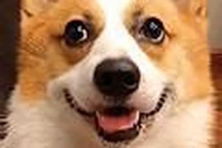 算命不给钱会对算命先生有什么影响
