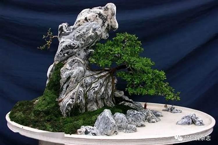 风水上聚宝盆用什么材质好？