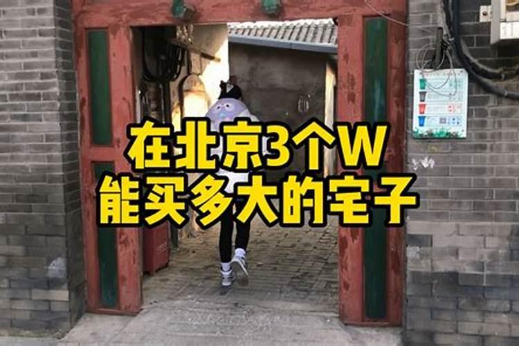 初一能算命看风水吗
