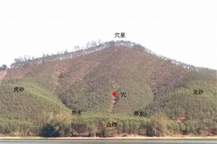 为什么年轻人不能学风水