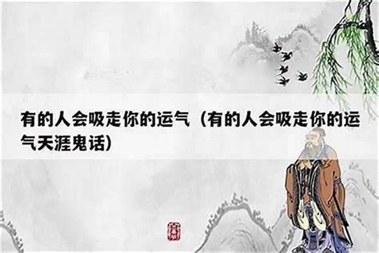 厦门哪里可以看花灯