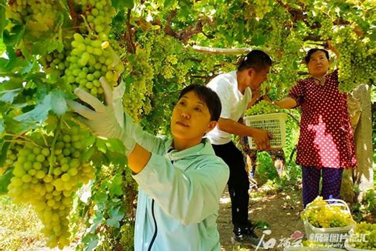 顶楼为什么风水不好
