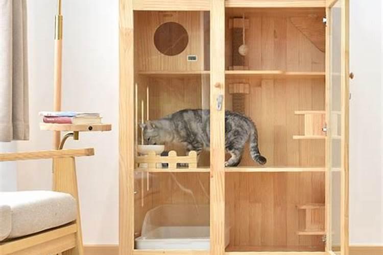 养猫养狗对居家风水的影响