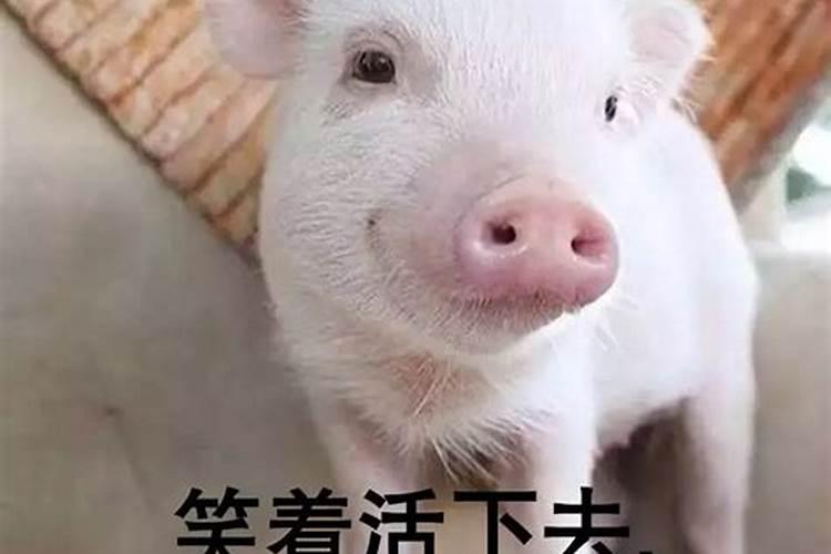 风水先生都无好下场吗