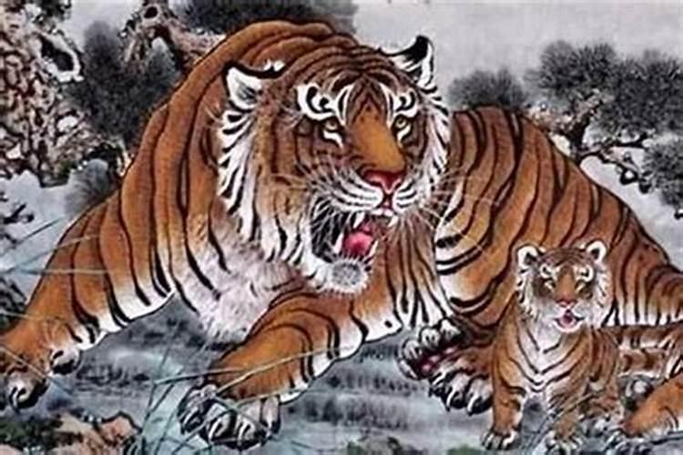 属虎的人旺财方位在哪个方向