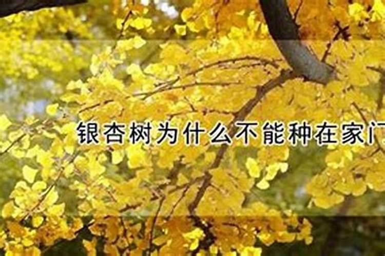 泉州文笔山传说