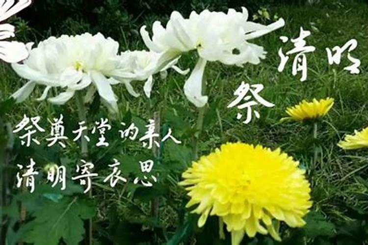 闰月年可以动土吗？