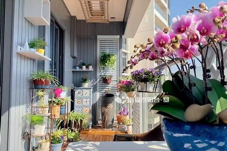 家庭阳台茶台的摆放有什么风水讲究 家庭阳台茶台的摆放风水讲究有什么...