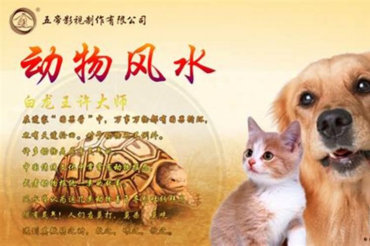 大门前做直路好还是弯路好