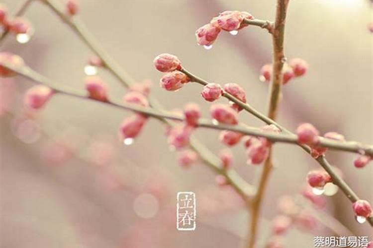 西南朝向房子的优缺点