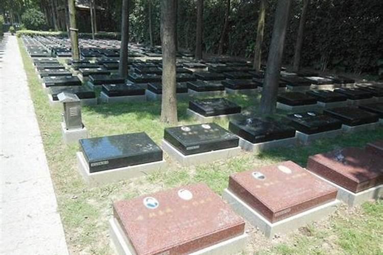 上海永福陵园墓地墓地风水介绍