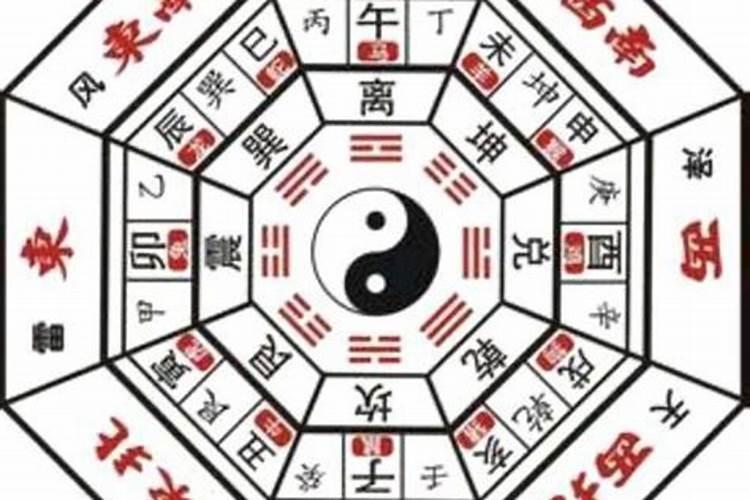 我是1988年2月初3午时出生,那位大师帮忙说一下,我的运势,谢谢