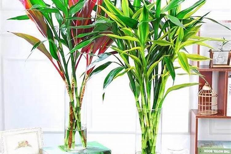 买房子怎样选好地段