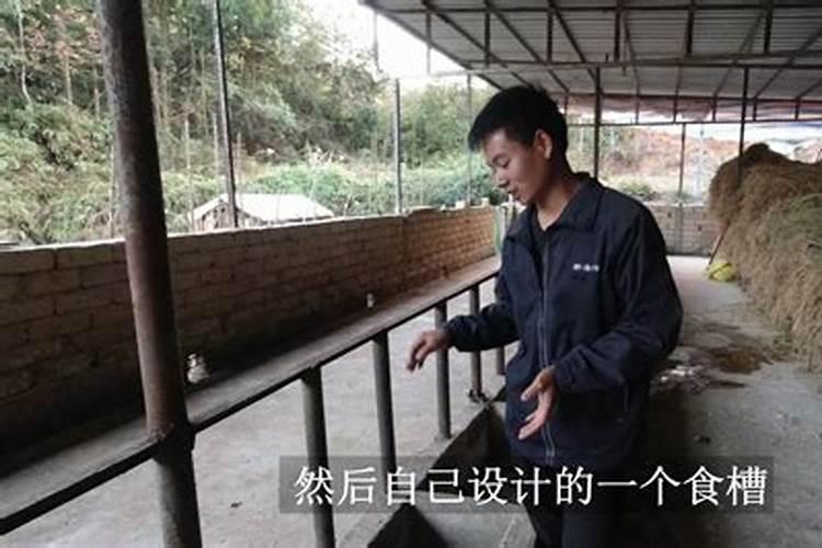 正房后面盖个牛舍在东面好还是西面好？