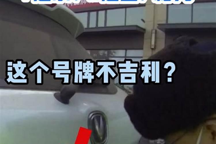 田阳有什么好玩的景点