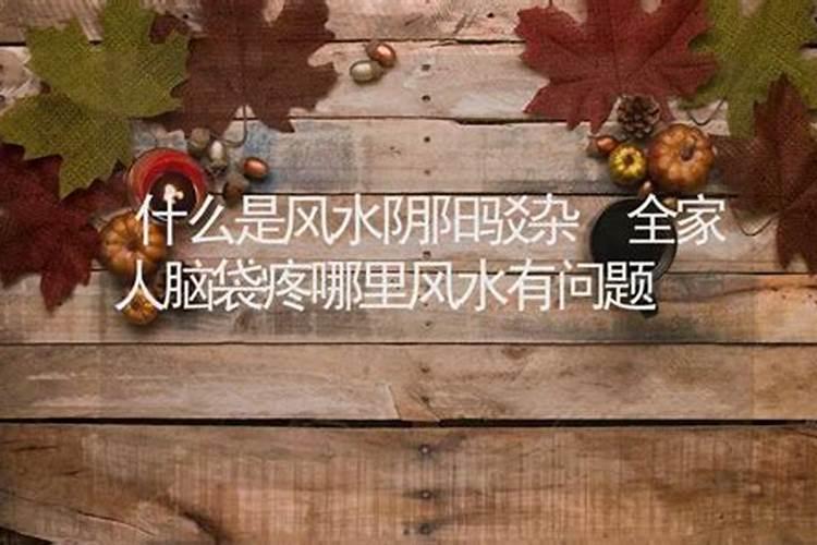 正宗扬公风水二十四山分金立向决是什么？