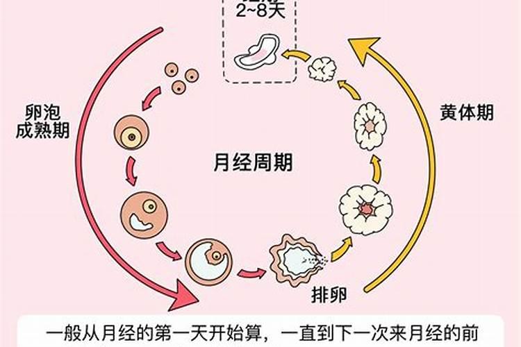 ...看看5楼左边这套房子的风水怎么样 有什么需注意的 财位和凶位在什么...