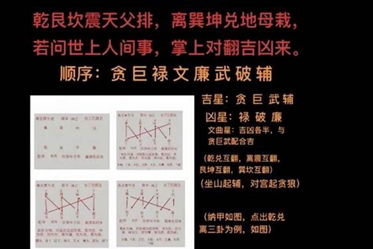 家里花架怎么摆放