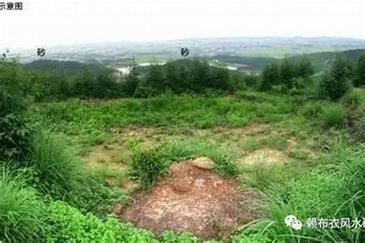 平原坟地风水怎么看要注意什么？