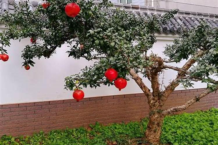 房间内有两张床应该如何摆放,方位禁忌有哪些要注意的