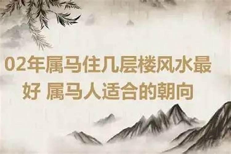 发财树风水作用与寓意,家里种发财树风水禁忌