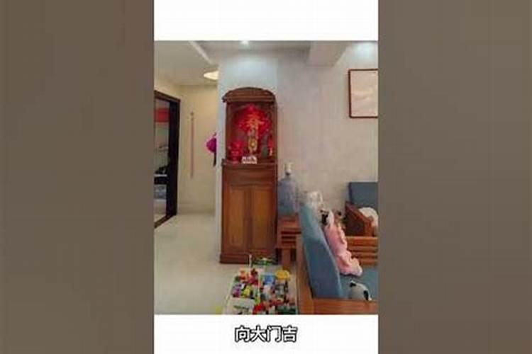 风水学办公室放什么花