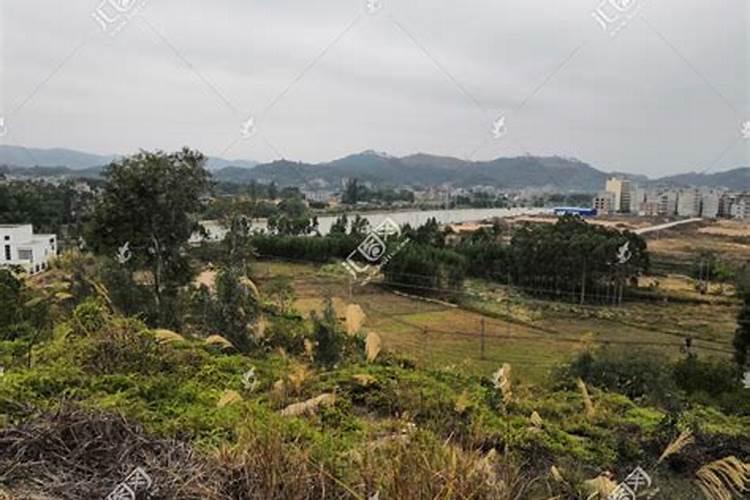 小董镇历史文物